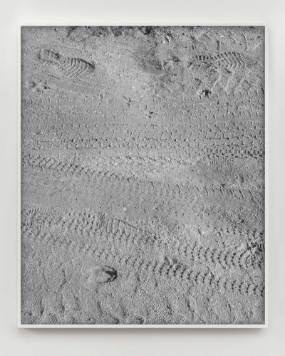 https://www.theadlerindex.com/files/gimgs/th-5_drawing no_ 35 (animals) tracks briefly frozen in the midwinter mud.jpg